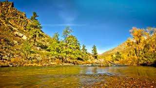 Mountain River in Autumn 4k UHD. Peaceful River Sounds, Nature Sounds, 10 Hours to Sleep, Relax. by Nature Zilla 35,768 views 2 years ago 10 hours, 6 minutes