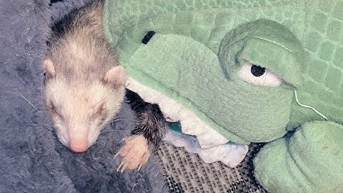 Trinity Trigger (stream 2)