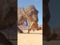 TYRANNOSAURUS REX JP 93  hunting!🚨‼️🦖🚨Jurassic World Evolution  3  #dinosaur #xbox