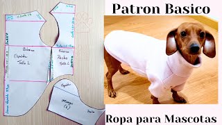 DIY Curso Ropa Mascotas Clase#4 Patron Basico/Suéter cuello Alto en TENDENCIA/ PET CLOTHES