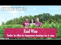 le podcast du jeudi #5 : Raid Wine