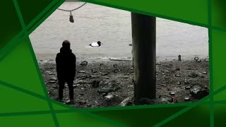 MUDLARKS | Indie Emeralds for LLG #4