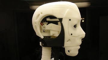THE INCREDIBLE 3D printed robot InMoov