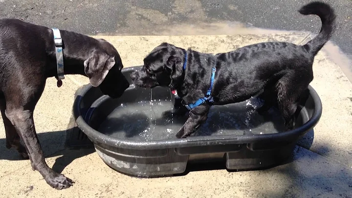 Marty and the Tub