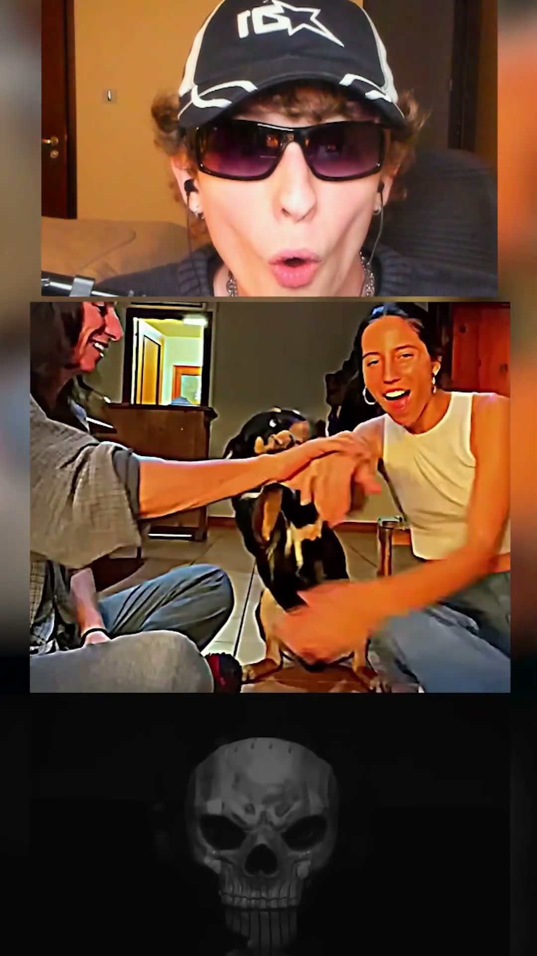 Estos PERROS son muy AMISTOSOS ??