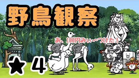 にゃんこ大戦争 野鳥観察