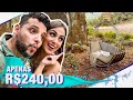 FIZEMOS UM BALANÇO SUSPENSO TUMBLR DE VERGALHÃO POR R$240,00 - VLOG