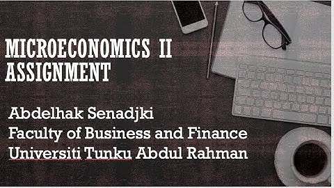 Microeconomics II Assignment