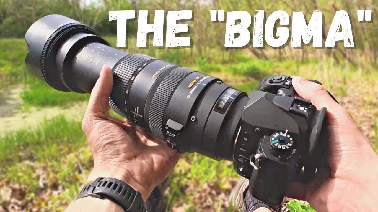 Sigma 50-500mm f/4.5-6.3 OS HSM lens review with samples (APS-C