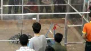 Robowars (Techfest 2009 - IIT Bombay)