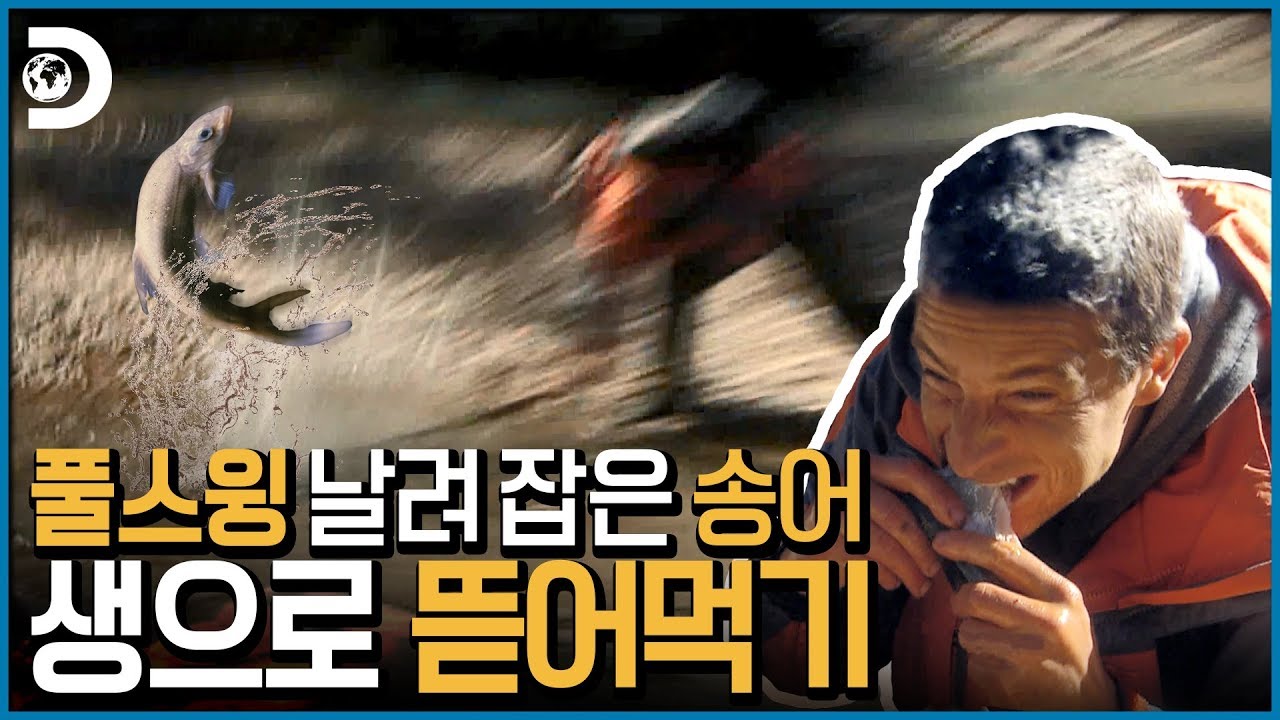 ⁣하지만 비림도 없지! 갓 잡은 송어  바로 뜯먹하는 베어그릴스! [Man vs Wild]