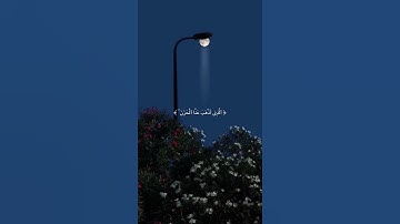 {‏وَقَالُوا الْحَمْدُ لِلَّهِ الَّذِي أَذْهَبَ عَنَّا الْحَزَنَ} #سورة_فاطر #ماهر_المعيقلي #قرآن