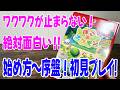 ぽこあポケモン!マイクラ好きは買いでしょ!!ゲームの始め方~序盤をプレイしてみた!
