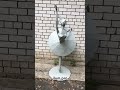 Полигональная скульптура балерины из металла для улицы и помещений #артобъект #статуя