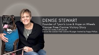 Denise Stewart - Cancer Free Canine Miracle Story!! by Poppy Phillips 159 views 1 month ago 33 minutes