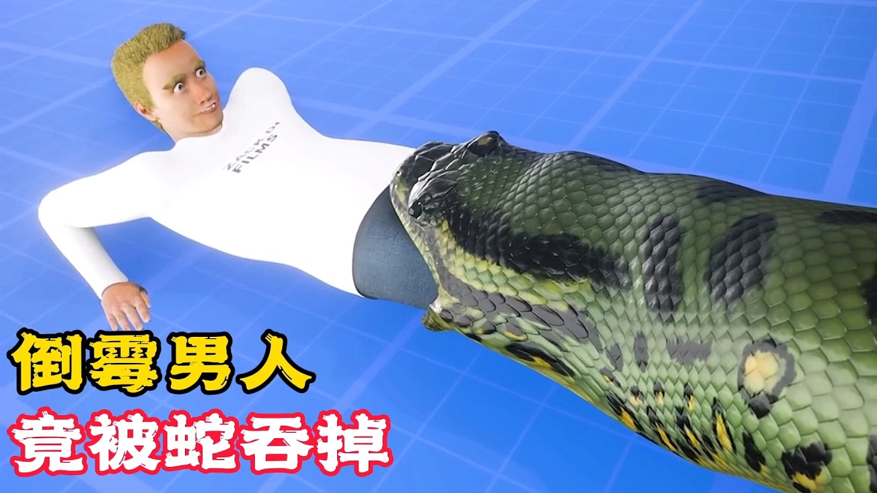 不幸被蛇吞掉，會有什麼後果？吃飯時千萬別看！科普動畫《被蛇吞掉》。電影，短片，成精，解說，搞笑，動畫，動作，喜劇，獵奇，奇幻，腦洞，科幻，超能力，short film