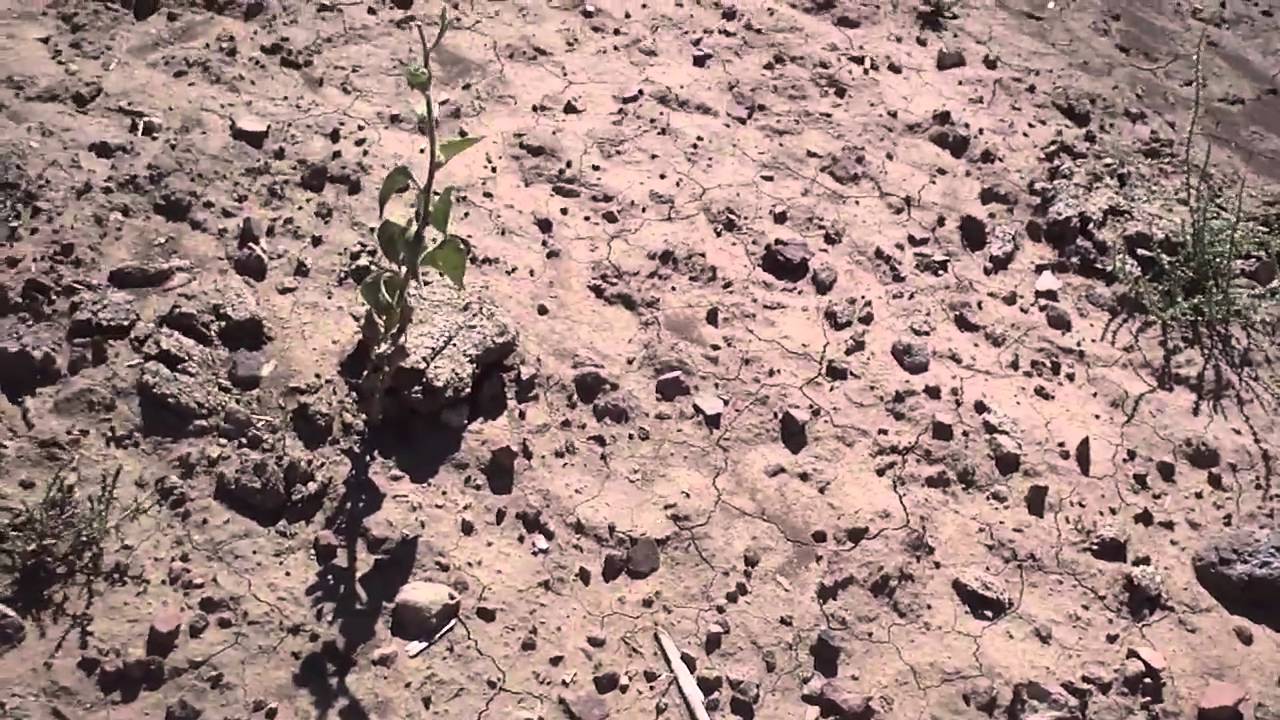 Arrowhead Hunting NM YouTube