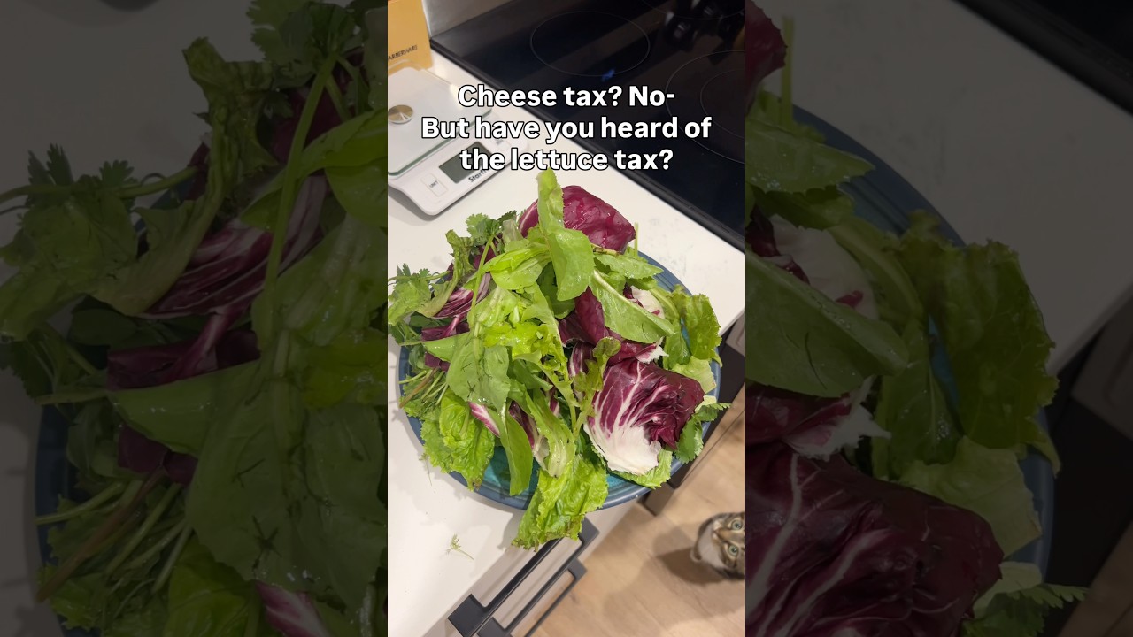 налог на салат 🤭 