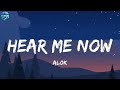 Alok Hear Me Now Lyrics mp3