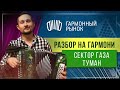 Сектор газа Туман РАЗБОР НА ГАРМОНИ