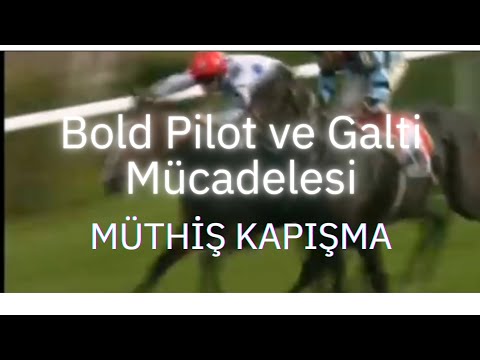 Bold Pilot ve Galte nin Unutulmaz Mücadelesi #atyarışı #boldplot #horse #koşu