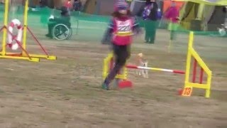 トトちゃん　FCI東日本@野田　2016 1 23　AG2