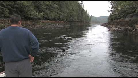 Setting gill net