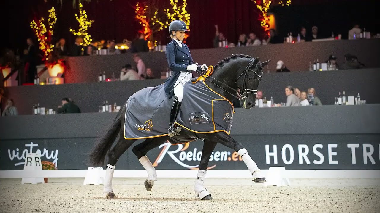 Cum Laude's Grand Prix Bloodlines, 2023 FEI Dressage Stallion at Stud