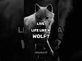 Do you know why wise people often say to live life like wolf 🐺|A_A_I_99|#motivation #attitudeai99