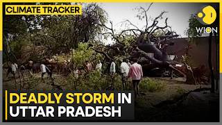 UP Storm Chaos: Man Hurt After Being Lifted by Powerful Winds  | WION Climate Tracker
