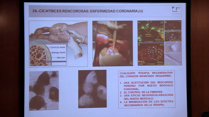 Corazones pequeos, grandes y cicatrices rencorosas, parte 3/3