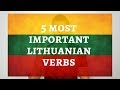 5 most important Lithuanian verbs