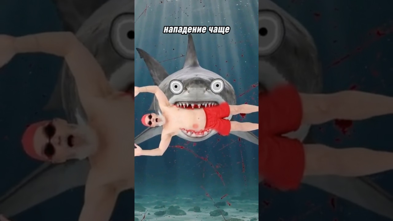 Вся правда про акул… 💀 