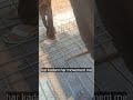 Civil Engineering Training: Slab (Chhat) mein Sariya Bandhne aur Bichhane ka Sahi Procedure