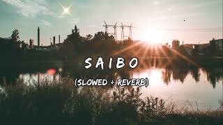 Saibo | slowed and reverb | lofi cafe nepal