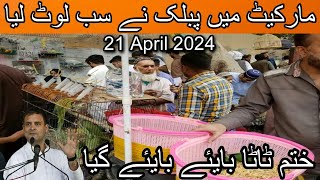 Exotic birds market lalukhet April 21, 2024 | Cheapest price birds market in karachi | Birds market by A 4 ali shah 1,104 views 3 weeks ago 15 minutes