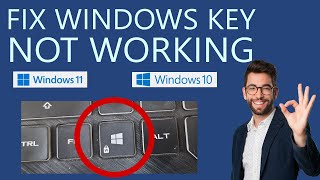 Top + 5 how to win key on hp laptop