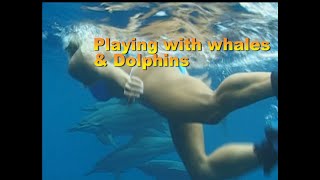 Ep 2 Blue Hawaii #whales, #dolphins #turtles #freediving #adventure #diving #volcanoes #hiking