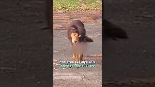 Al revisarlo, se dieron cuenta de la espantosa realidad