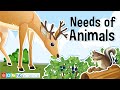 Animal Respiration and Water Sources