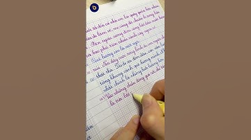 Bút mực S208 mực tím hồ điệp, nét chữ đẹp, mực tiết đều^^