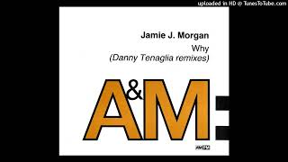 Jamie J. Morgan - Why (Peter Piper Dub) 1992