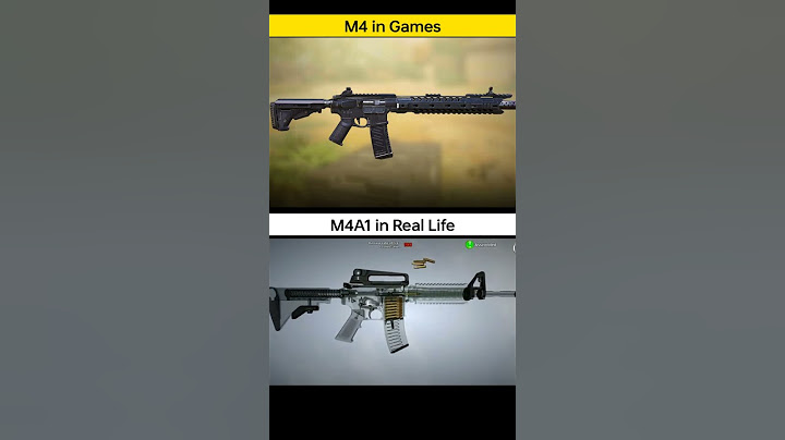 M4 or M16? Guess The Gun