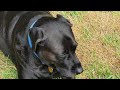 Beginning of video
