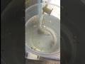GUPPY FISH FRY || GUPPY BREEDING || SNAIL EGGS || PLANTED AQUARIUM PROBLEMS #aquarium #snailproblem