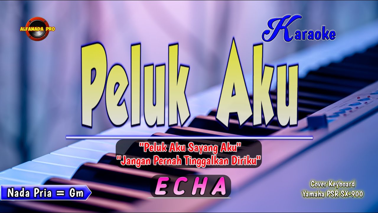 Peluk Aku Karaoke - Echa || Nada Pria