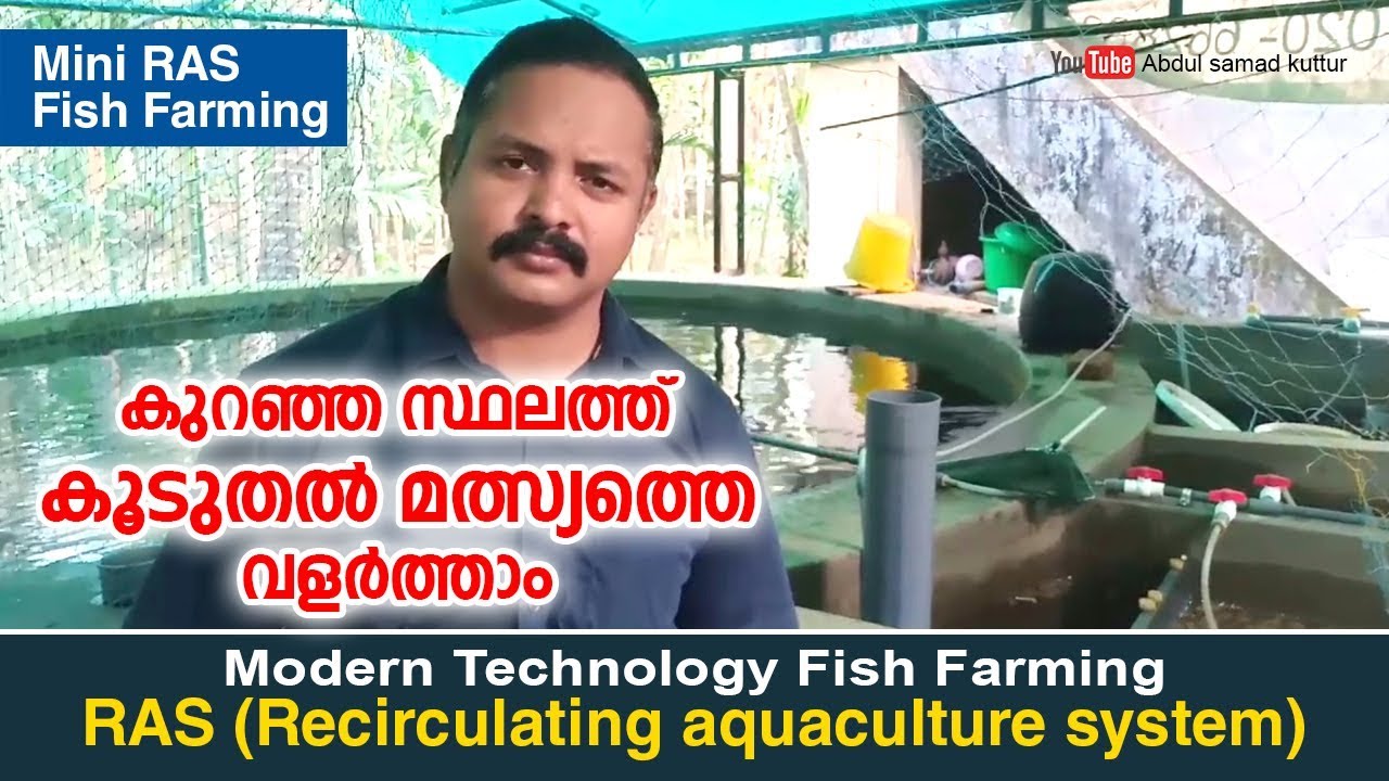 Mini RAS Fish Farming  | കുറഞ്ഞ സ്ഥലത്തു കൂടുതൽ മത്സ്യത്തെ വളർത്താം