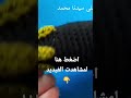 باذنجان لديكور المطبخ فن وسعاده