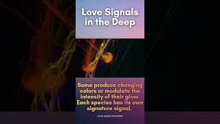 Secret Underwater_ Love Signals in the Deep #deepsea #marinemystery #oceanmystery #bioluminescence