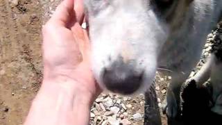 MVI_7848.AVI